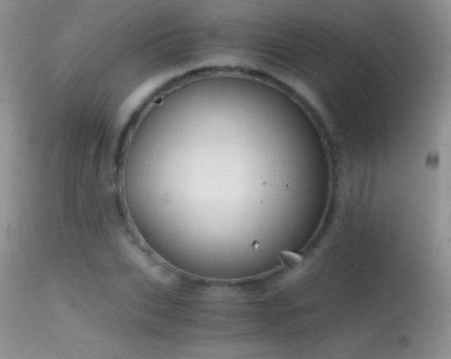 X0000114640927200910201439