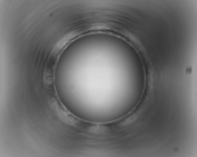 X0000114640929200910201439