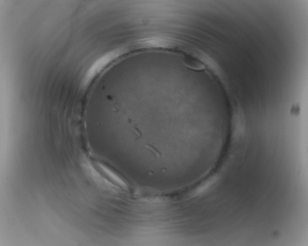 X0000114640930200910201439
