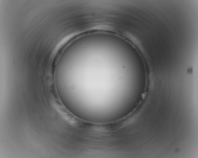 X0000114640931200910201439