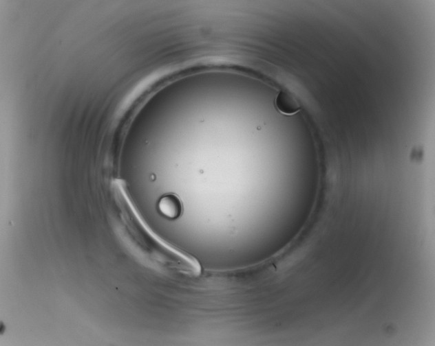 X0000114640934200910201439
