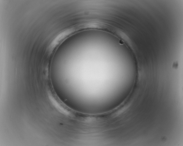X0000114640938200910201439