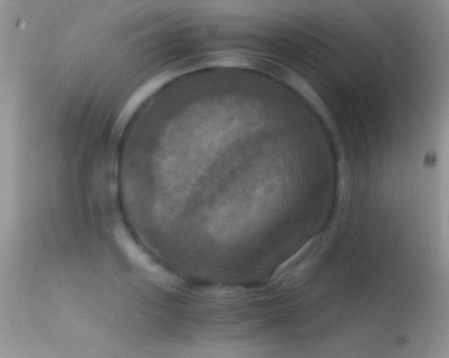 X0000114640939200910201440