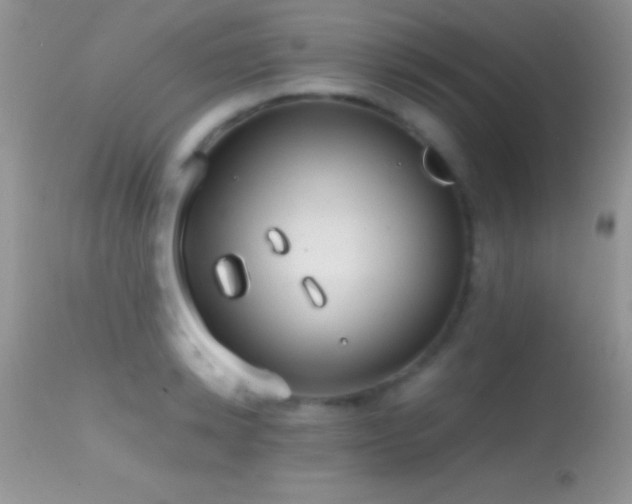 X0000114640942200910201440