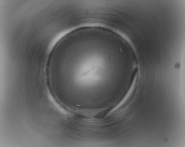 X0000114640943200910201440