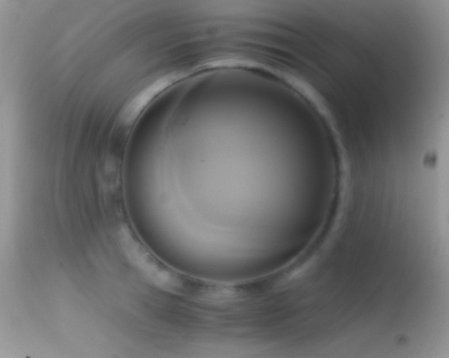 X0000114640945200910201440