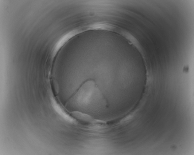 X0000114640946200910201440