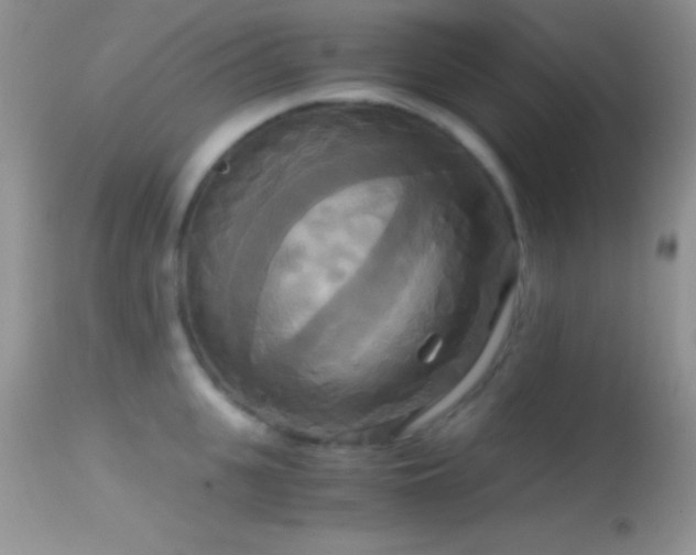 X0000114640951200910201440