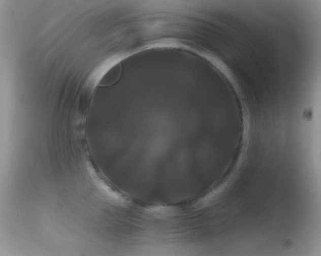 X0000114640953200910201440