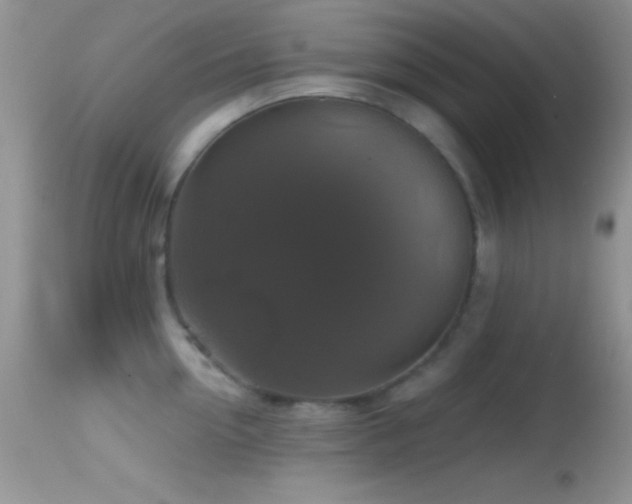 X0000114640954200910201440