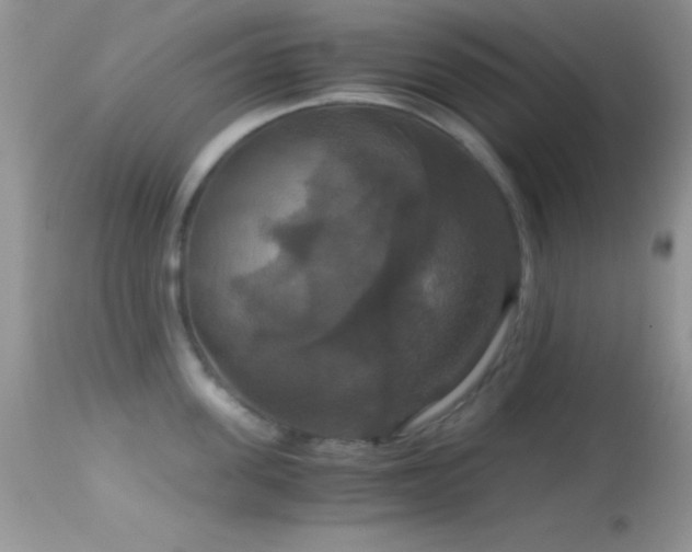 X0000114640955200910201440