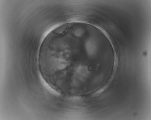 X0000114640957200910201440