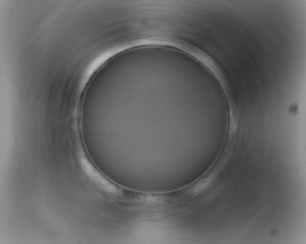 X0000114640958200910201440