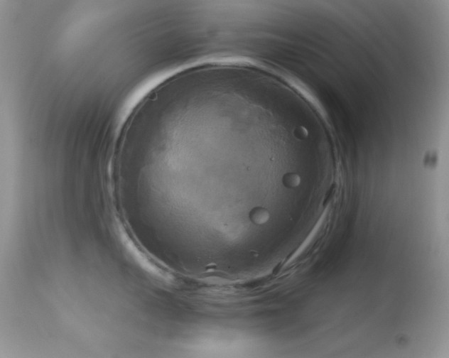 X0000114640959200910201440