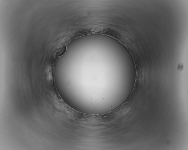 X0000114640962200910201439