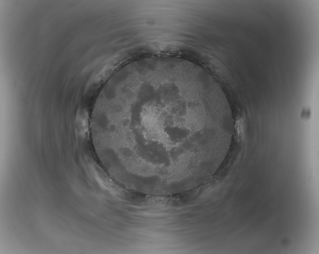 X0000114640963200910201439