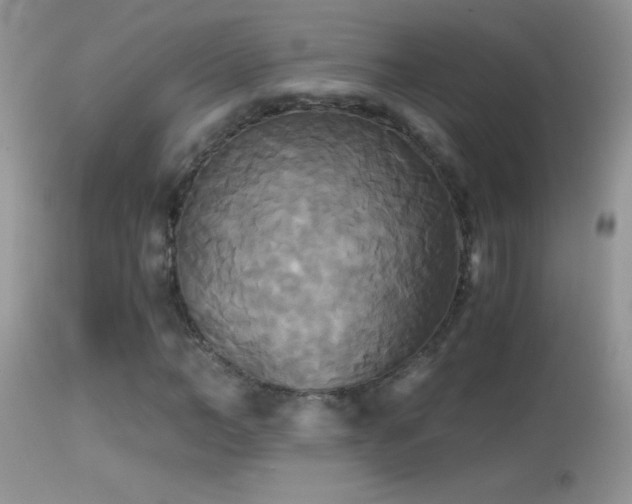 X0000114640966200910201439