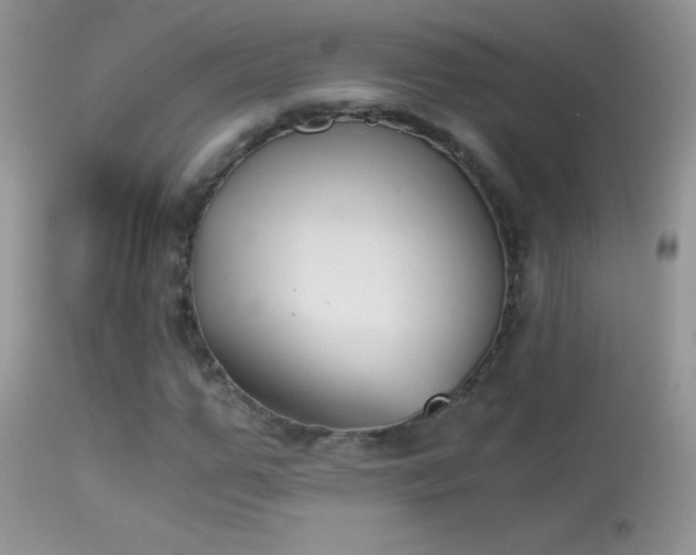X0000114640967200910201439