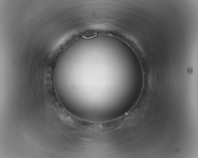 X0000114640968200910201439