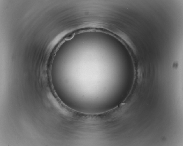 X0000114640972200910201439