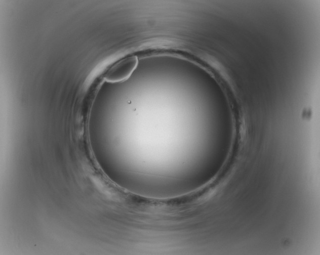 X0000114640973200910201439