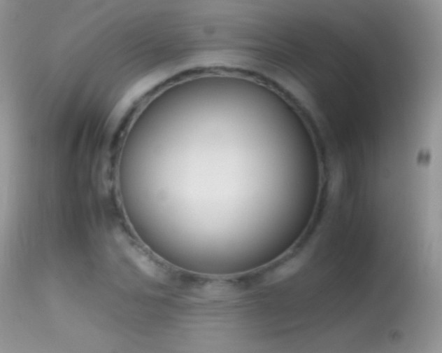 X0000114640974200910201439