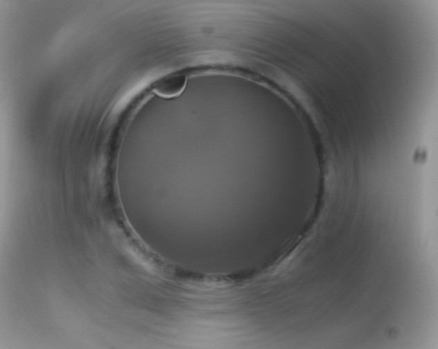 X0000114640975200910201439