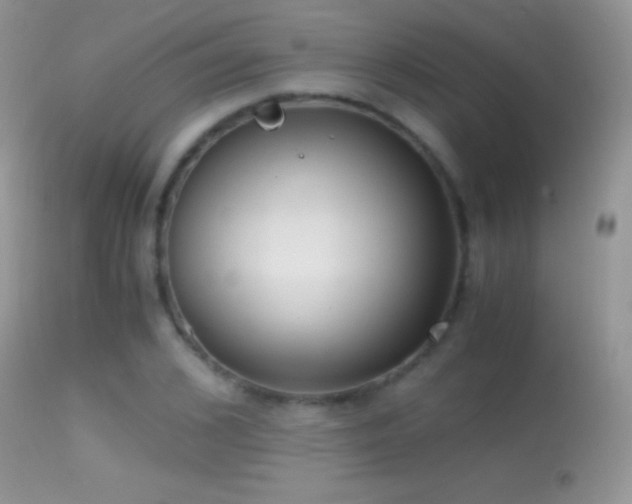 X0000114640976200910201439