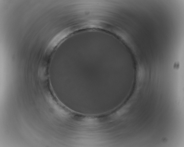 X0000114640977200910201439