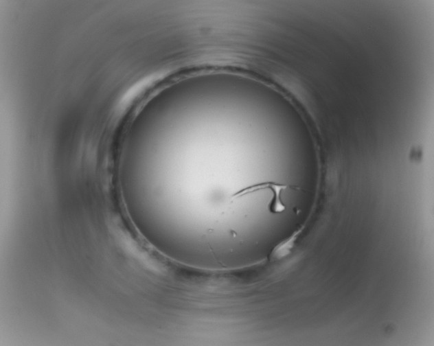 X0000114640979200910201439