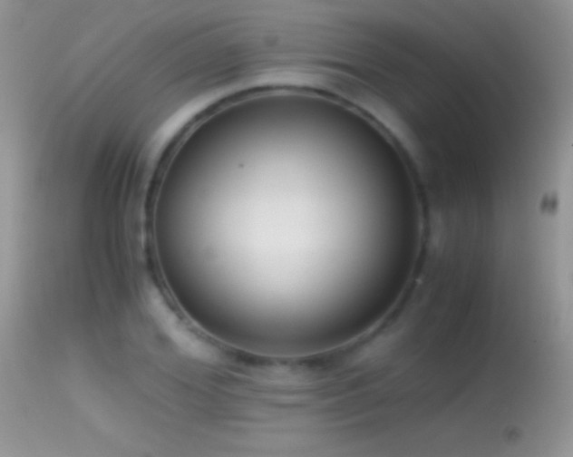 X0000114640980200910201439