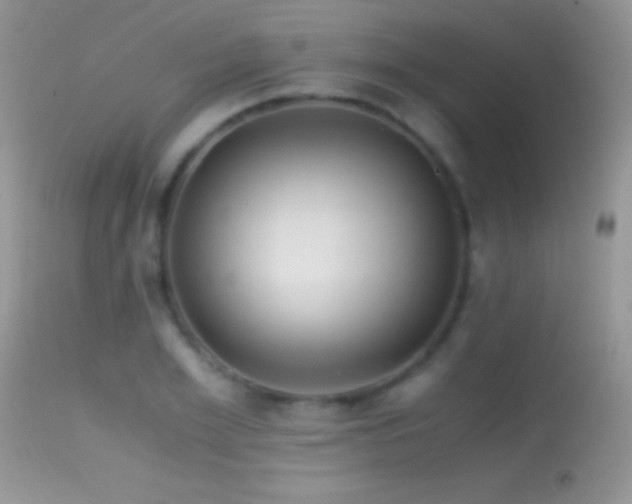 X0000114640981200910201439