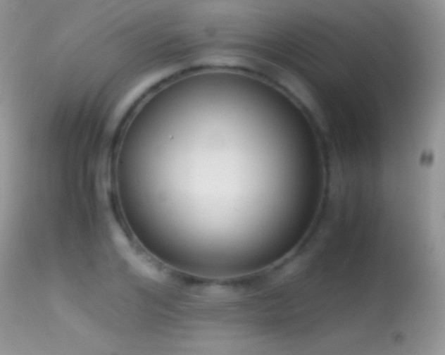 X0000114640984200910201439
