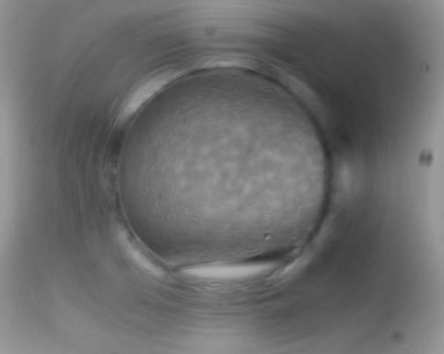 X0000114640985200910201439