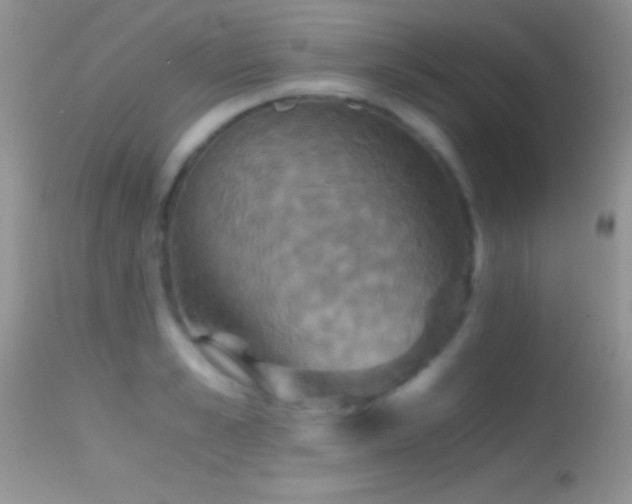 X0000114640989200910201439