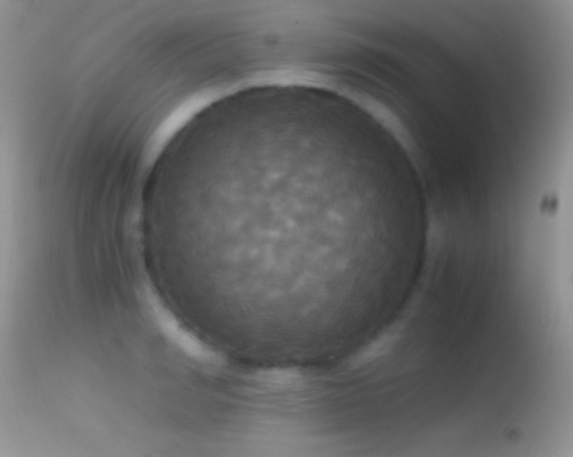 X0000114640990200910201439