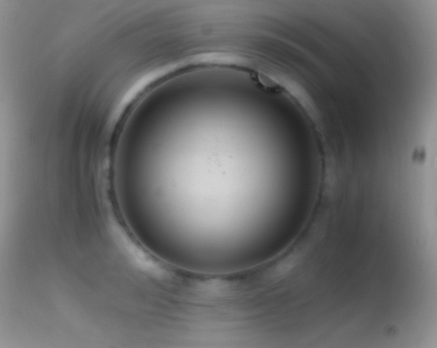 X0000114640992200910201439