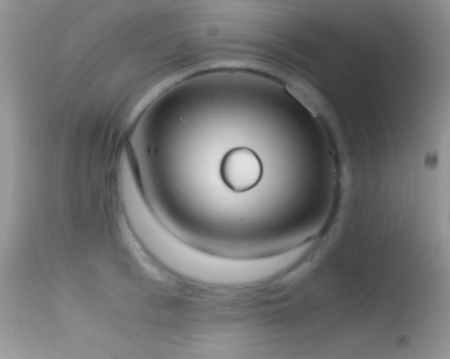 X0000114640993200910201439