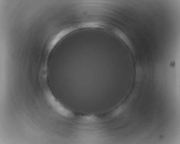 X0000114640994200910201439
