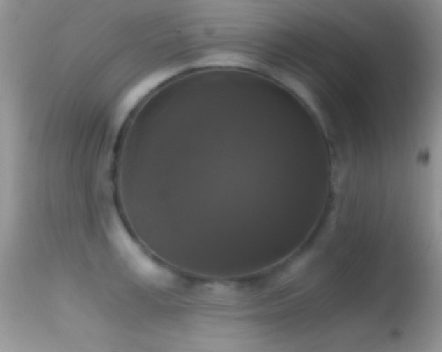 X0000114640995200910201439