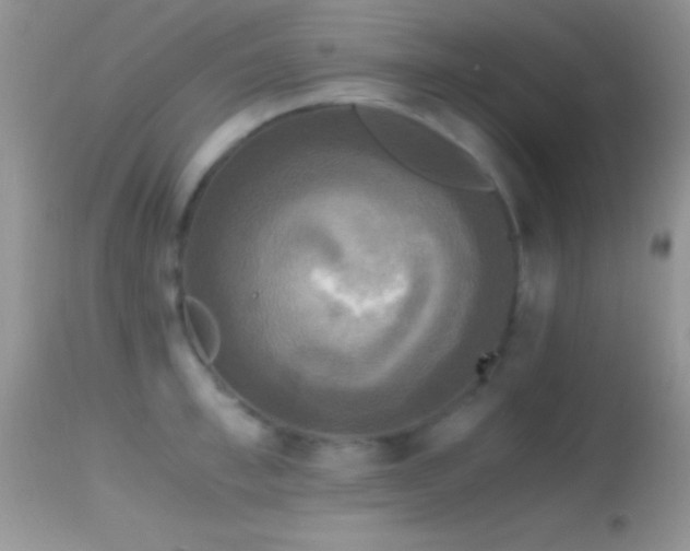 X0000114640997200910201439