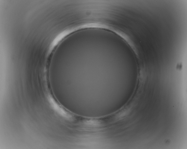 X0000114640998200910201439