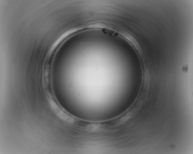 X0000114641000200910201439