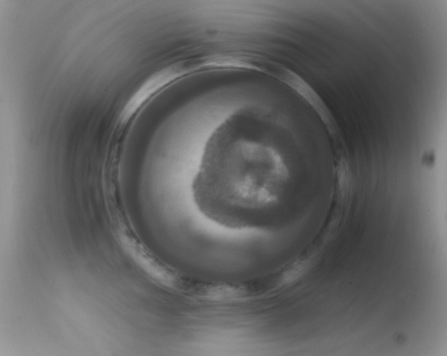 X0000114641002200910201439