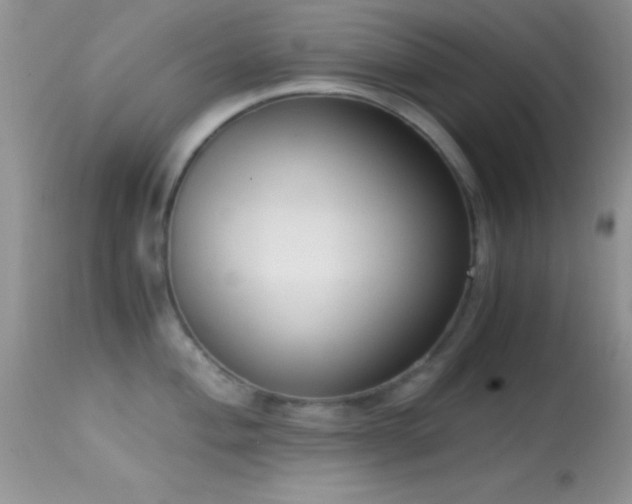 X0000114641004200910201439