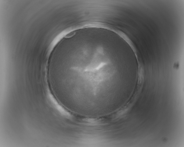 X0000114641005200910201439