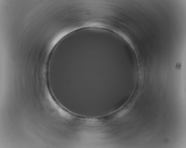 X0000114641007200910201439