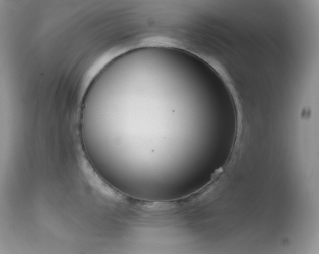 X0000114641008200910201438