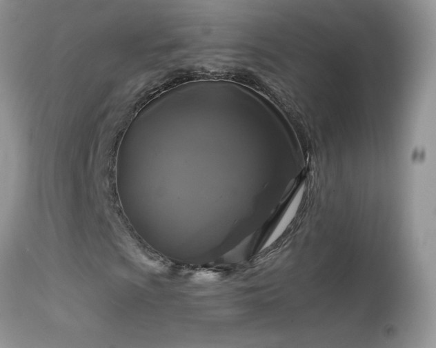 X0000114641009200910201438