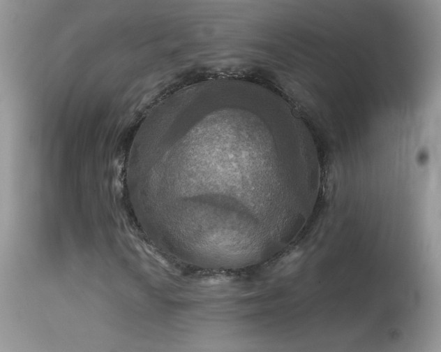 X0000114641010200910201438